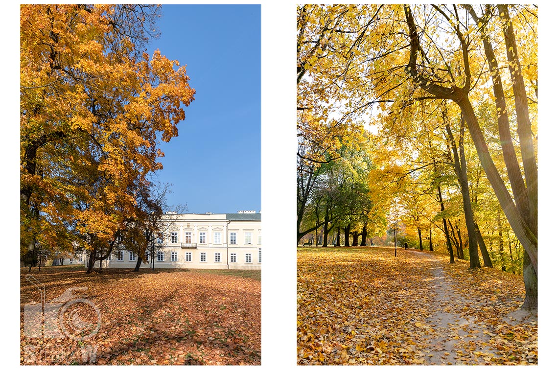 Fotografia architektury miejskiej, zdjęcia w Zespole pałacowo-parkowym książąt Czartoryskich w Puławach, tu zdjęcie Pałacu Czartoryskich i alei parkowej.